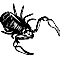 Pseudoskorpion